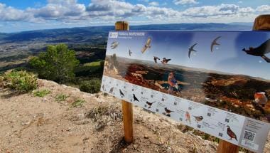 Birding Ayora