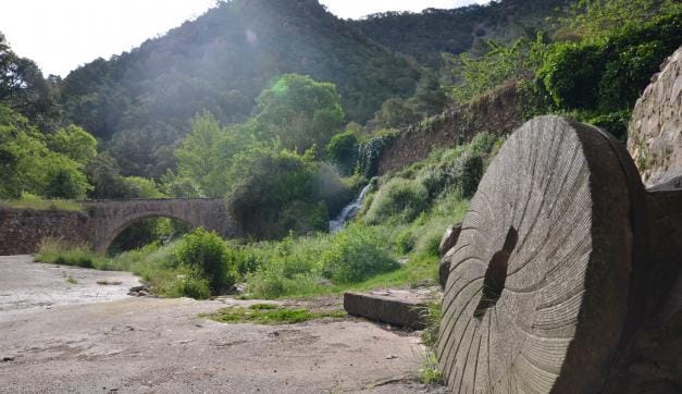 Senderisme en la selva d'Espadà